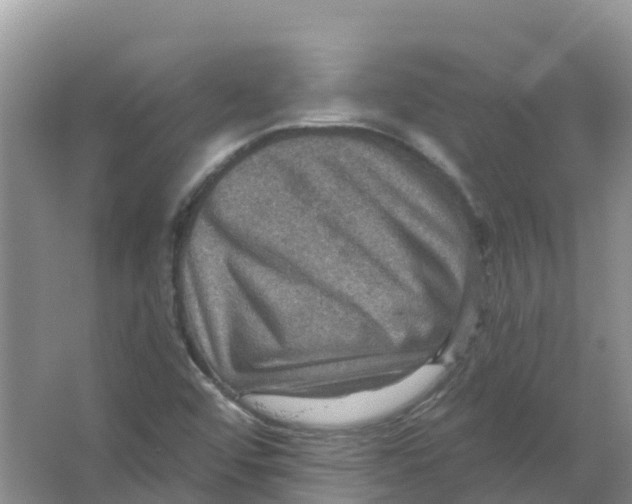 X0000066951456200604142037