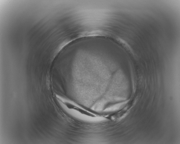 X0000066951457200604142037