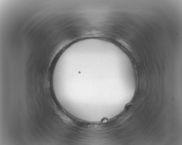 X0000066951458200604142037