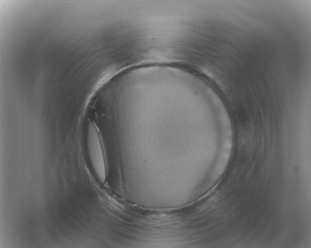 X0000066951459200604142037