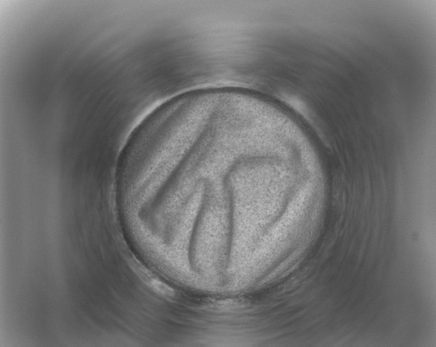 X0000066951460200604142037