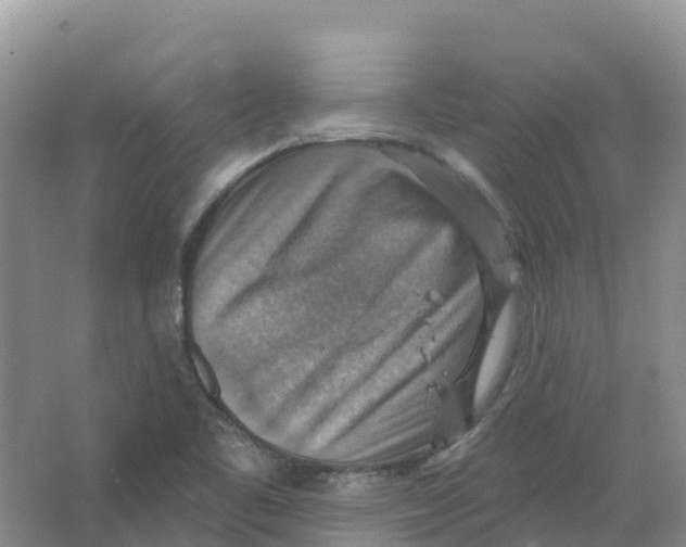 X0000066951461200604142037