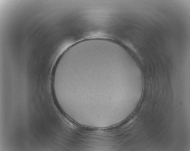 X0000066951463200604142037