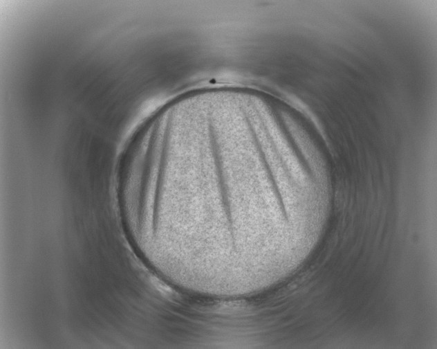 X0000066951464200604142037