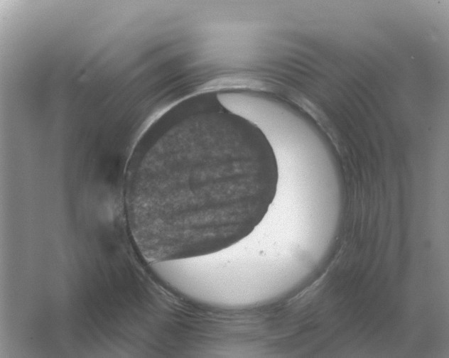 X0000066951465200604142037