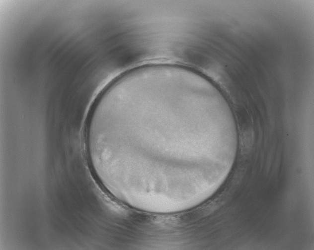 X0000066951466200604142037