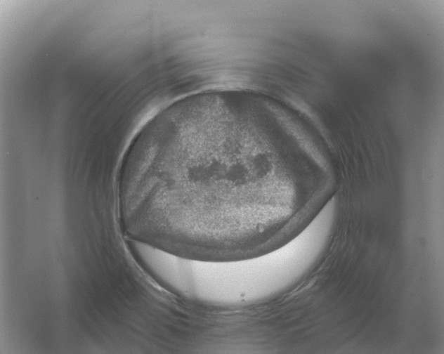 X0000066951467200604142037