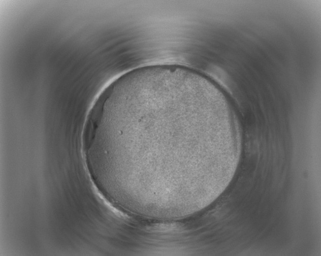 X0000066951468200604142037