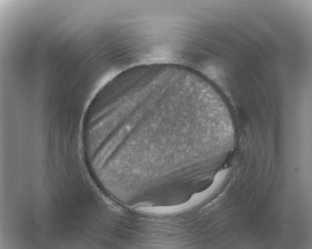 X0000066951469200604142037