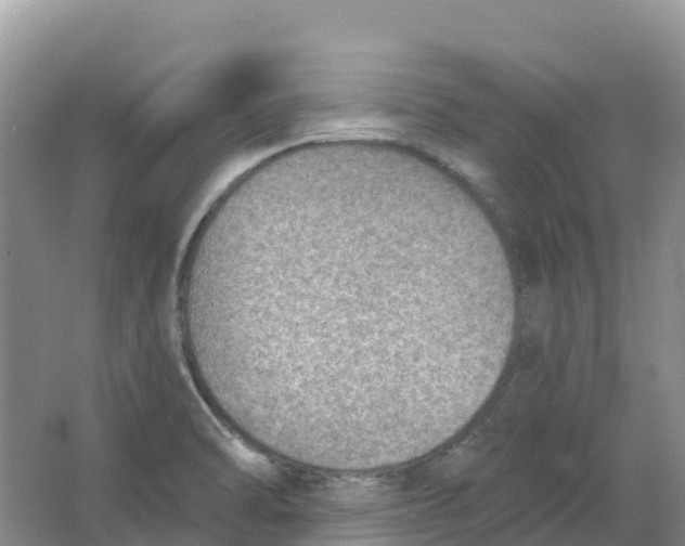 X0000066951470200604142037