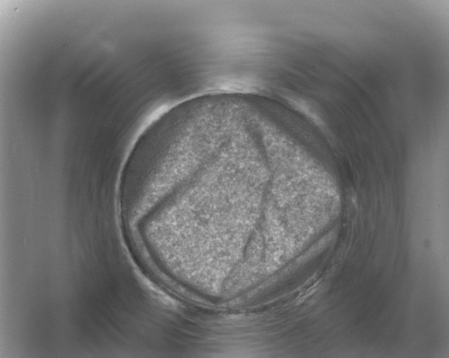 X0000066951471200604142037