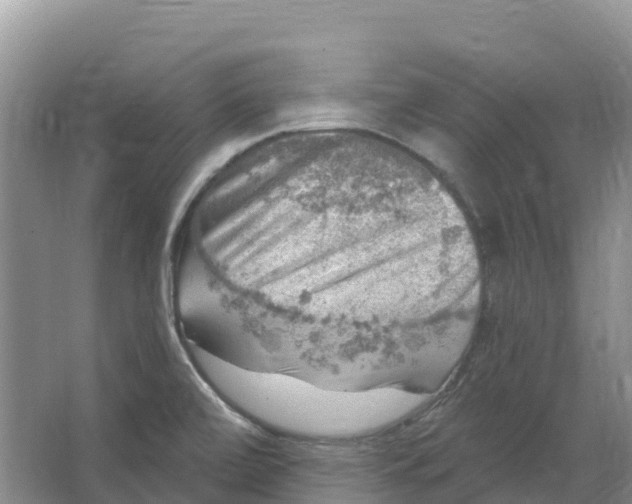 X0000066951472200604142037