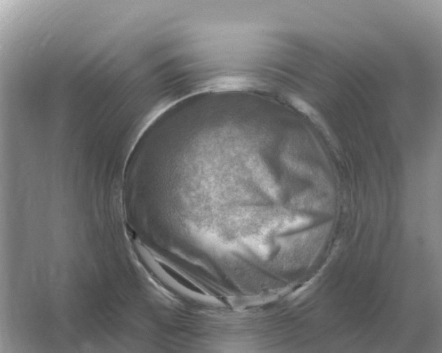 X0000066951473200604142037