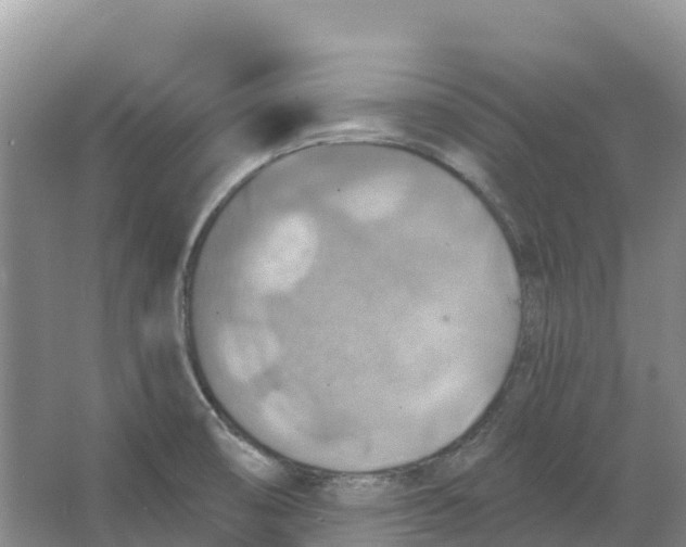 X0000066951474200604142037