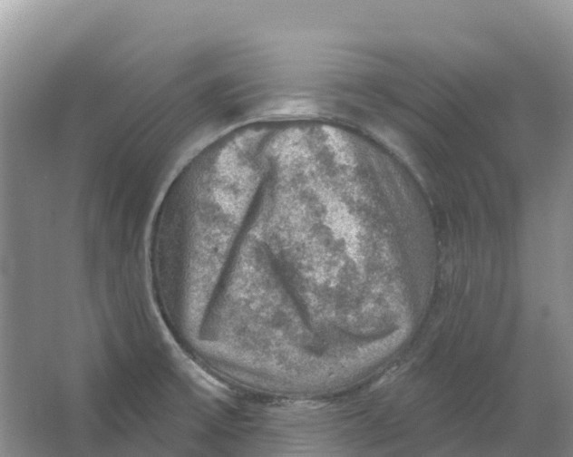 X0000066951475200604142037