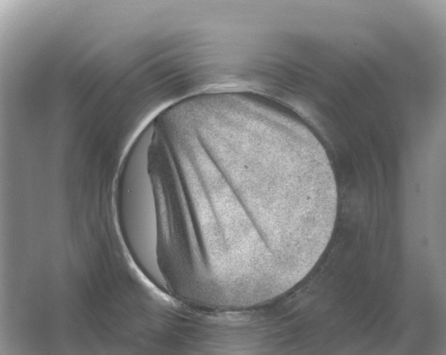 X0000066951476200604142036