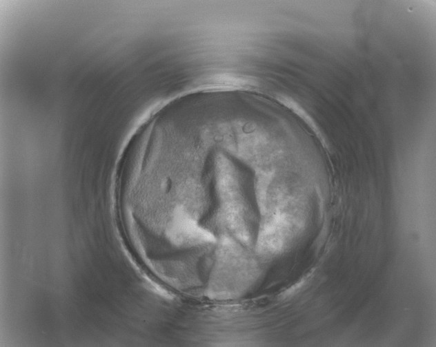 X0000066951477200604142036