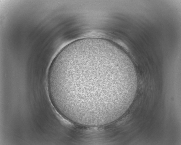 X0000066951478200604142036