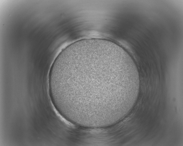 X0000066951479200604142036