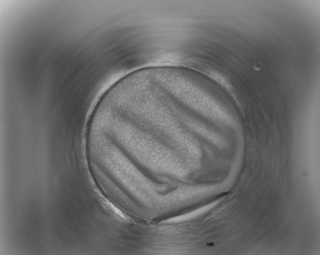 X0000066951480200604142036