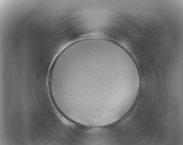 X0000066951482200604142036