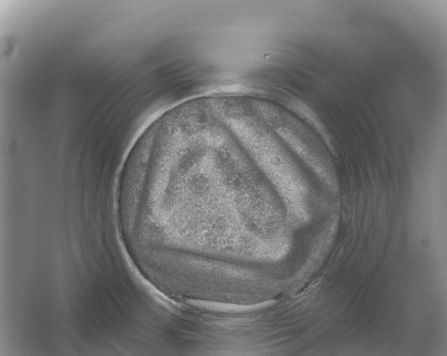 X0000066951483200604142036