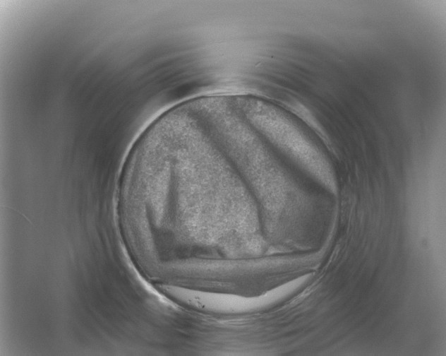 X0000066951484200604142036