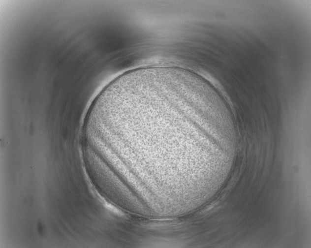 X0000066951486200604142036