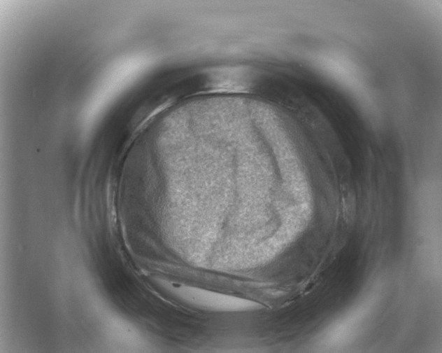 X0000066951487200604142036