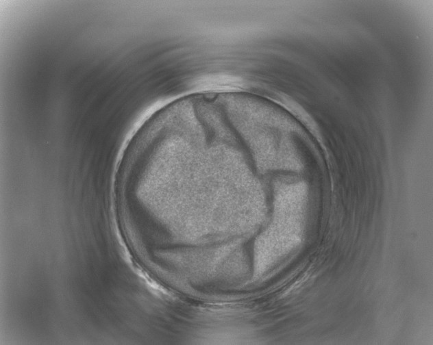 X0000066951488200604142036