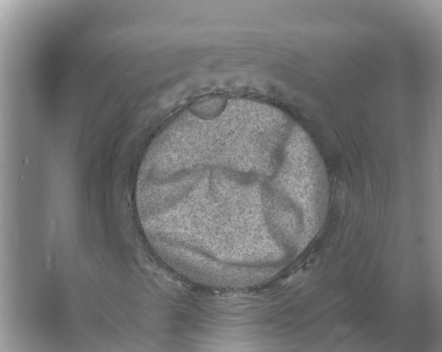 X0000066951489200604142035