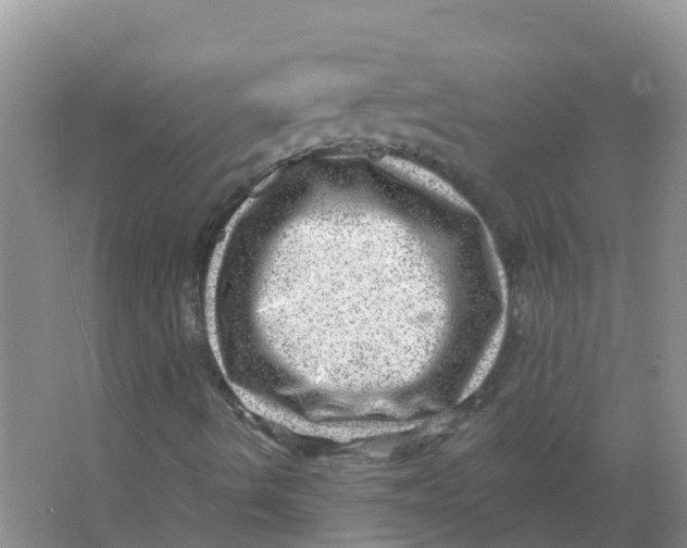 X0000066951490200604142036