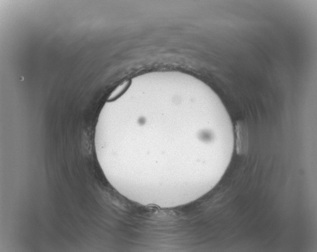 X0000066951491200604142036