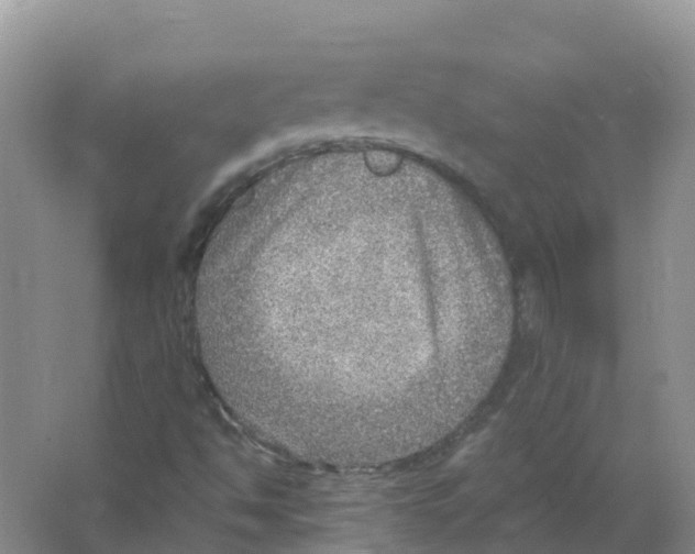 X0000066951494200604142036