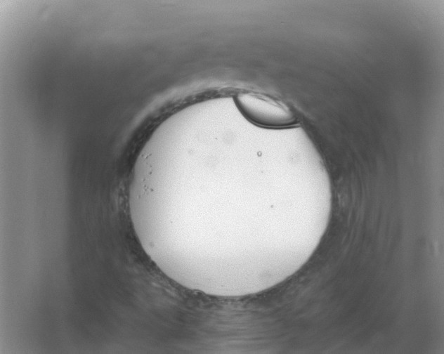 X0000066951495200604142036