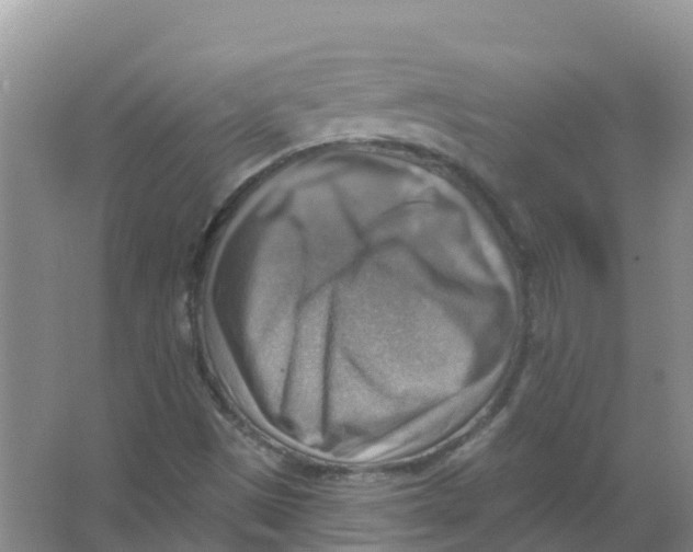 X0000066951497200604142036