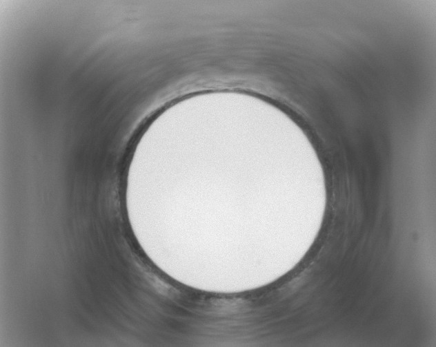 X0000066951498200604142036