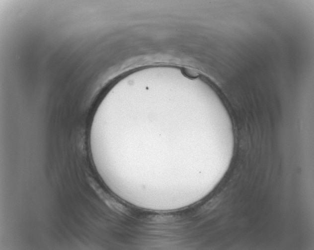 X0000066951499200604142036