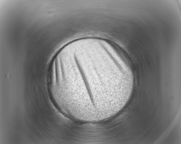 X0000066951500200604142036