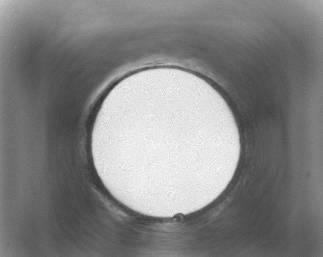 X0000066951502200604142036