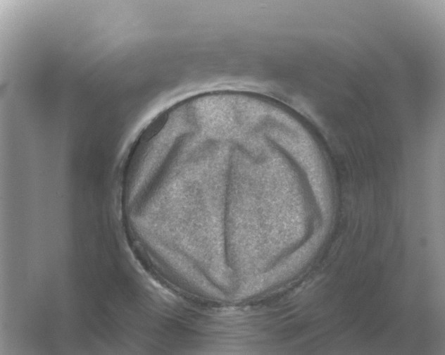 X0000066951504200604142036