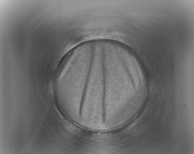 X0000066951505200604142036