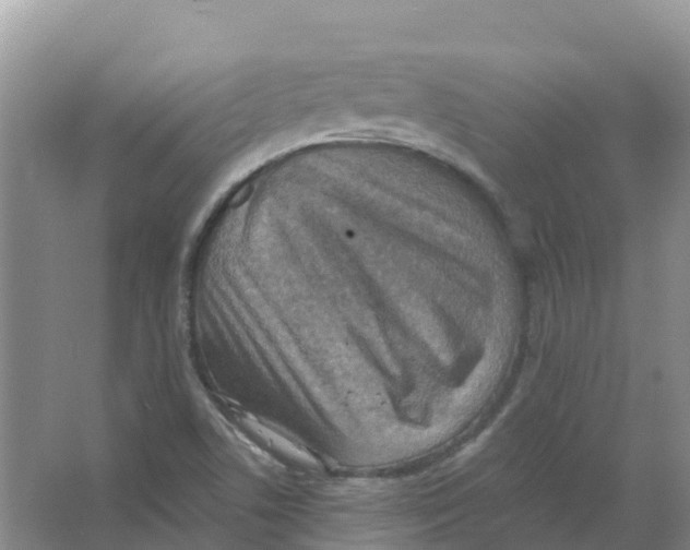 X0000066951506200604142036