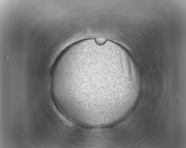 X0000066951507200604142036