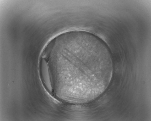 X0000066951508200604142036