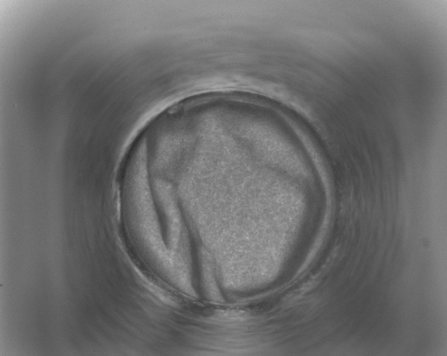 X0000066951509200604142036