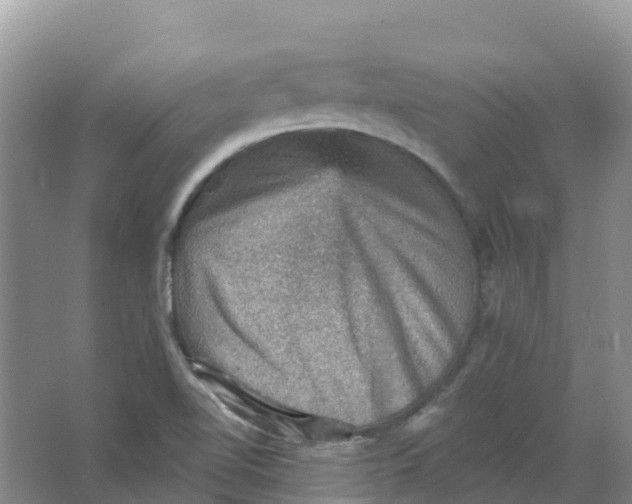 X0000066951510200604142036