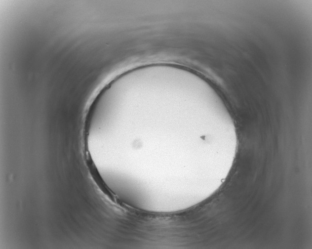 X0000066951512200604142036