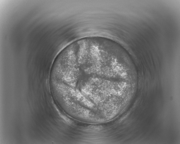 X0000066951513200604142036