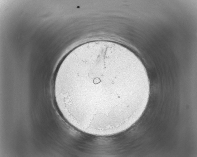 X0000066951514200604142036